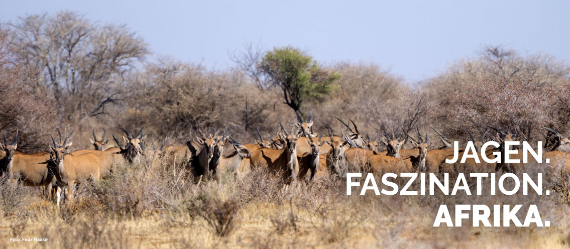 Faszination Jagdreise Afrika