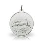 Preview: Jagdmedaille Motiv HASE in silber