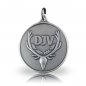 Preview: DJV-Jagdmedaille in altsilber