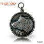 Preview: Jagdmedaille TS-EDITION Motiv SCHWARZWILD altsilber