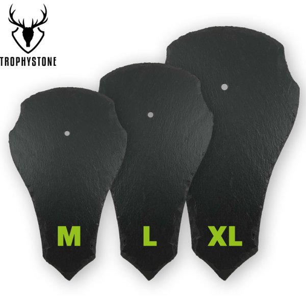 Preview: Trophäenschiefer von Trophystone für Damhirsch – Tropfenform in 3 Größen