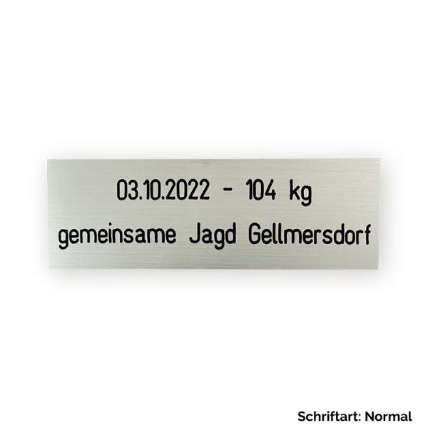 Preview: Gravurbeispiel Kunststoffplakette (75x25) in silber