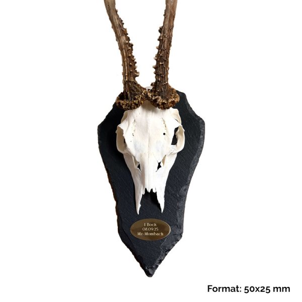 Preview: Rehbock und ovale Messingplakette auf Trophäenschiefer Tropfenform (Größe XL)