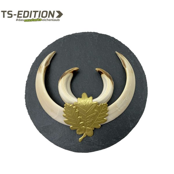 Das saustarke Eichenlaub TS-EDITION vergoldet mit Keilerwaffen auf Trophäenschiefer