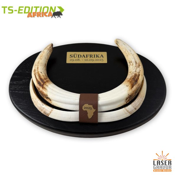 Warzenkeilerwaffen mit Büffellederstreifen nussbraun und Dekoelementen in gold