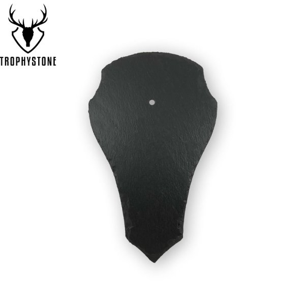 Trophäenschiefer von Trophystone für Springbock