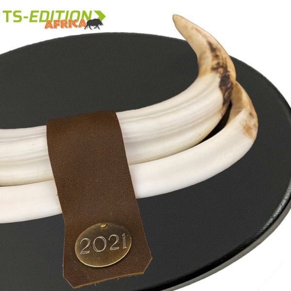 Preview: Ausschnitt Lederstreifen und Jahresplakette