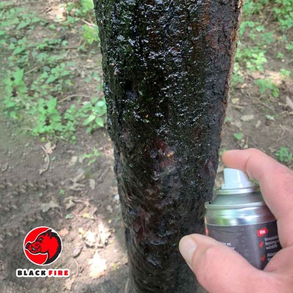 BLACKFIRE Magic Spray – Der helle Sprühstoß wird am Baum wieder dunkel