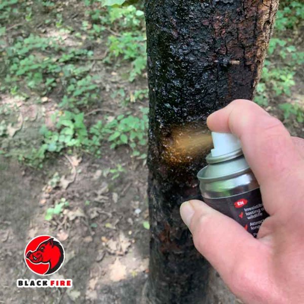 BLACKFIRE Magic Spray aus kurzer Entfernung an den Malbaum sprühen