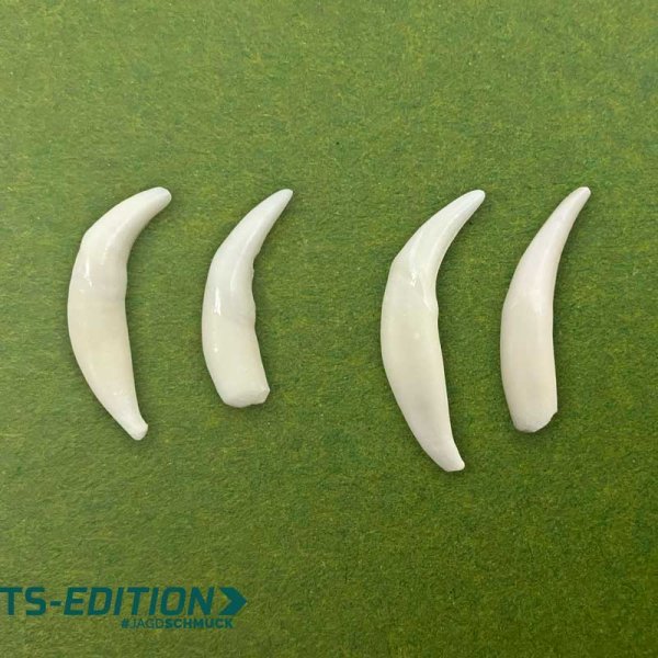 Beispiel der angeschliffenen Fuchshaken