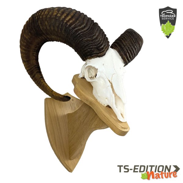 Muffelgestell TS-NATURE in Eiche natur mit Muffelwidder