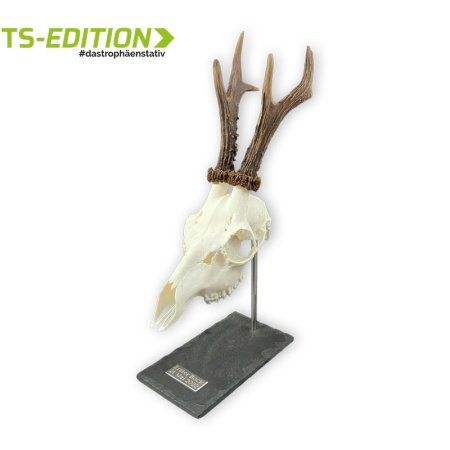 PLAKETTE mit Facette EDELSTAHL-LOOK „2-zeilig“, graviert