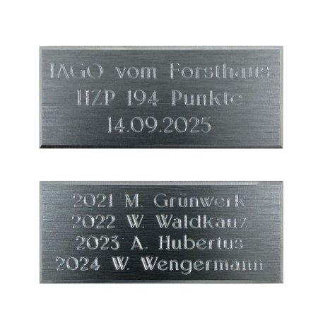 PLAKETTE mit Facette EDELSTAHL-LOOK „1/4-zeilig“, graviert