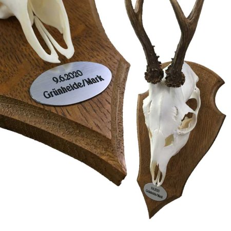 Montagebeispiel Plakette oval in ABS silber mit Bockgehörn