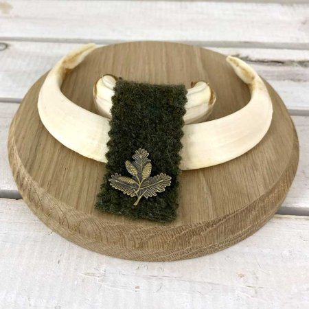 Keilerwaffen auf Eichenbrett hell mit Lodenstreifen und Fichtenlaub in bronze