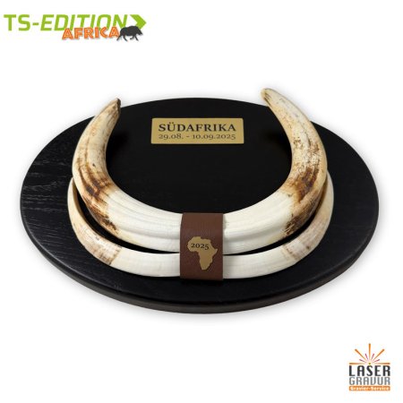 Warzenkeilerwaffen mit Büffellederstreifen nussbraun und Dekoelementen in gold