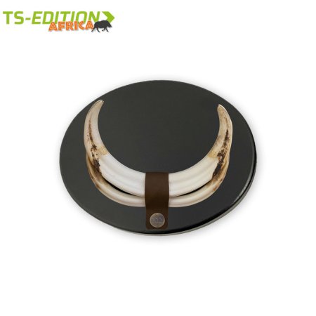 ovales Warzenkeilerschild Gr. M mit Waffen und Jahresplakette