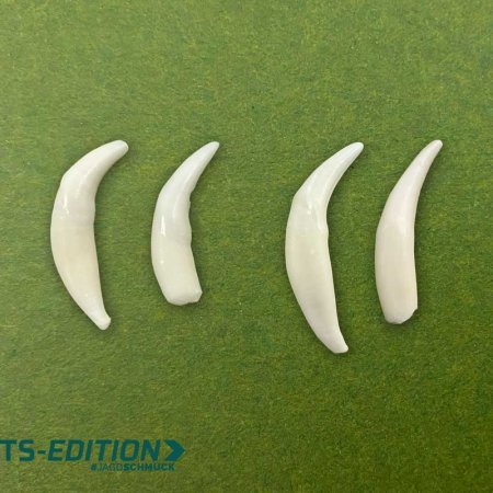 Beispiel der angeschliffenen Fuchshaken